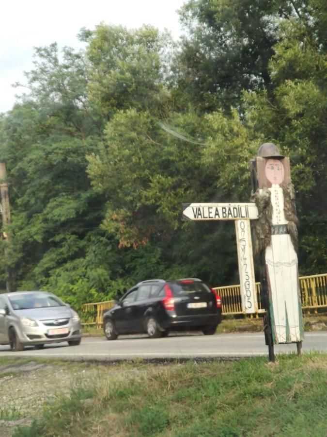 Country house Pensiunea Valea Badilii *