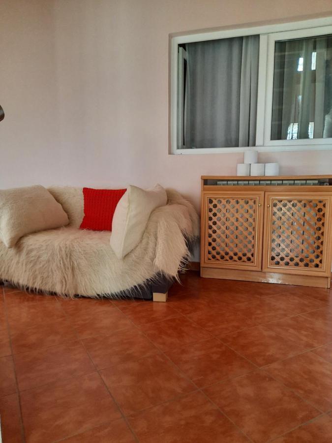 Pensiunea Valea Badilii Valea Iasului