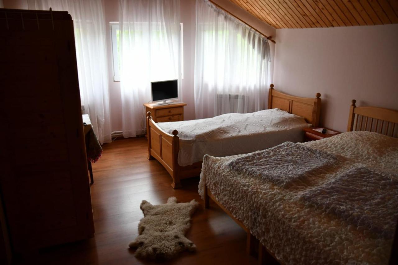 Pensiunea Valea Badilii Country house *