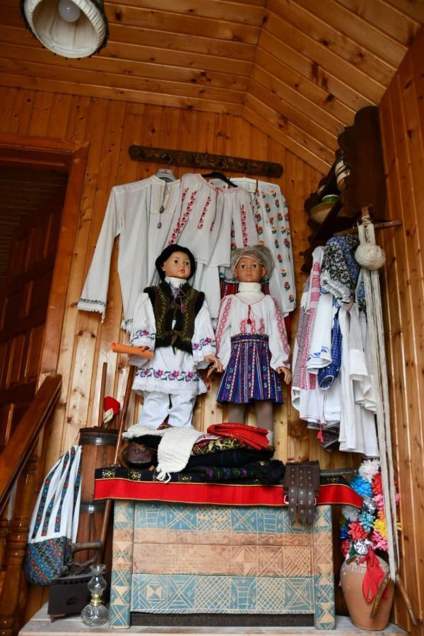 Pensiunea Valea Badilii Country house