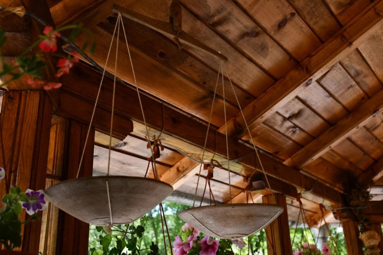 Country house Pensiunea Valea Badilii *