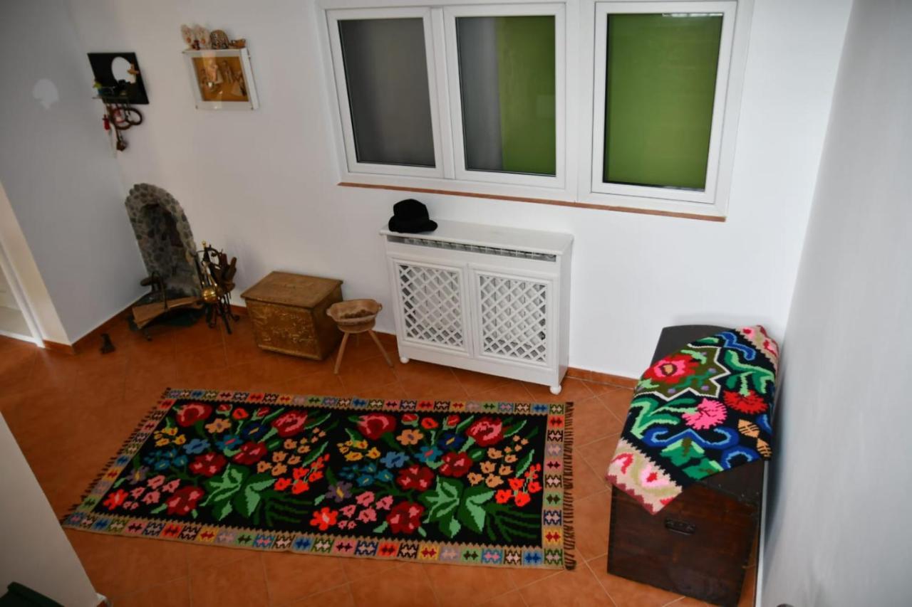 Pensiunea Valea Badilii Country house Valea Iasului
