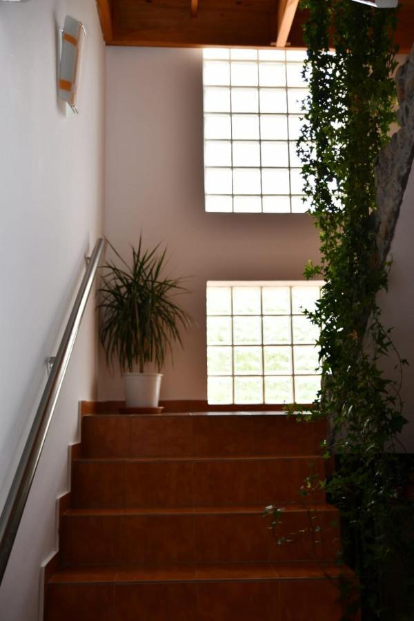 Pensiunea Valea Badilii Country house